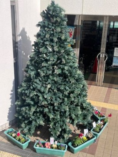 大きなクリスマスツリー|県営愛鷹広域公園 | 新しい出会いと感動を