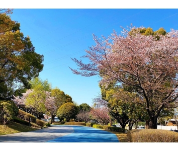 施設写真